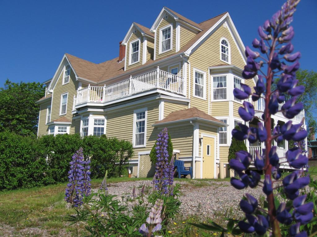 Louisbourg Harbour Inn Exterior photo