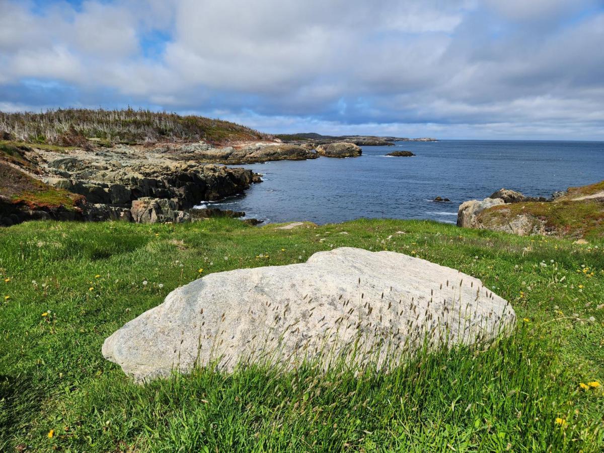 Louisbourg Harbour Inn Exterior photo