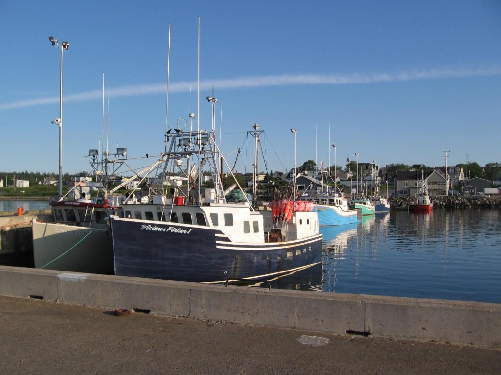 Louisbourg Harbour Inn Exterior photo